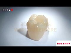 Shenzhen Berry Dental: All-Ceramic Zirconium Dioxide Series